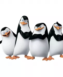 Шторка для ванной с Пингвинами из Мадагаскара купить
