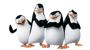 Шокопазл с Пингвинами из Мадагаскара купить