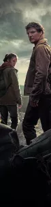 Подушка - дакимакура с главными героями сериала The Last of Us во весь рост купить
