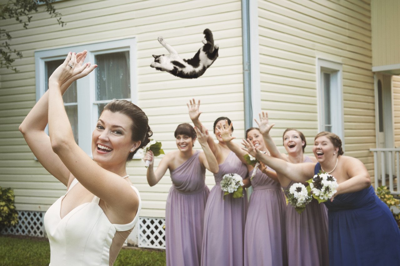 смешные фото на свадьбе